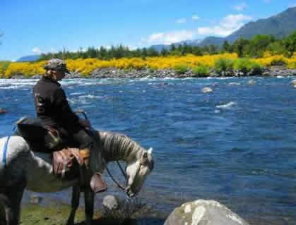 Trailreiten in Chile und Argentinien, entlang des Trancura im Fr&uuml;hling